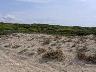 Rollstuhlgerechtes Hotel Mallorca behindertengerecht Colonia Sant Jordi